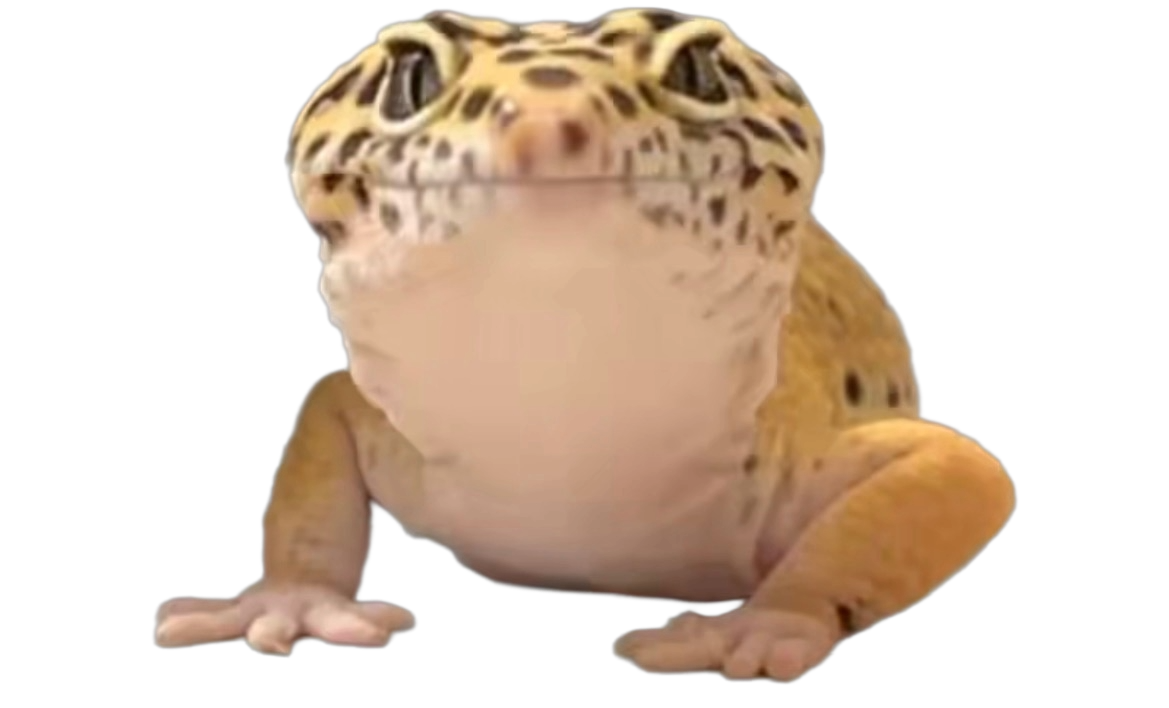 your pet gecko